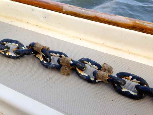 Anchor chain, after 1 year of use, at the 60 ft mark.