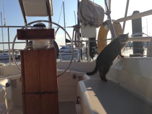 finally made it out to the cockpit!