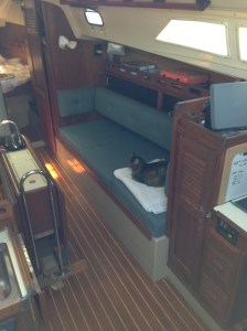 leo, chillin', under sail!