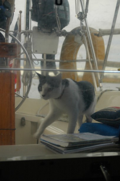 Our almost stowaway in Southport, NC.