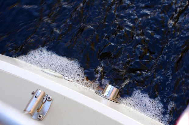 I tried so hard to get a pic of the water.  The color is pretty distinct, caused by the rotting Cypress trees.  It kinda’ looks like coffee.