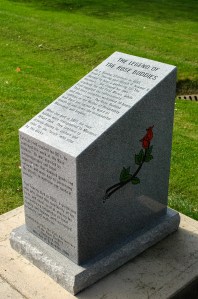 The story of the rose buddies...