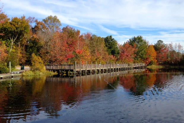 We tied up here after our first lock.  It’s a free dock that is near a park and a short walk from Food Lion and a Hardee’s (where we ate dinner that night!)