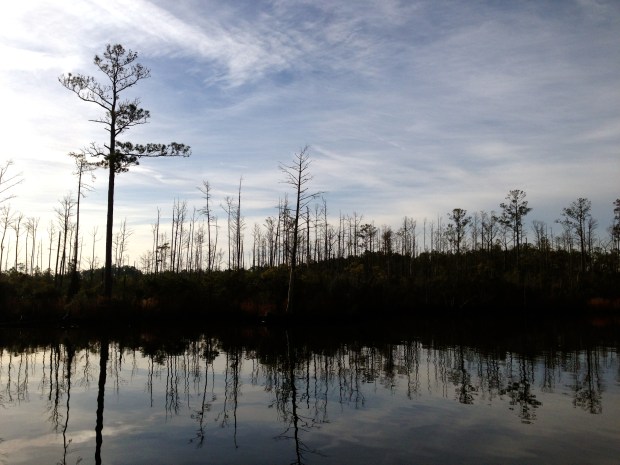 The not-very-exciting Pungo River Canal.