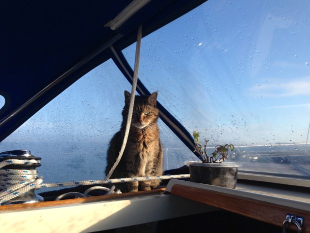 My Boo, being beautiful, heading to Morehead City, NC.