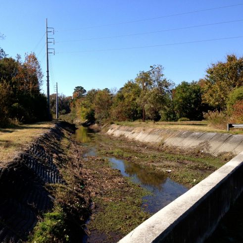 This is what Georgia's ICW looks like at low tide.  Just kidding!  This was on our walk to Bi-Lo grocery in Thunderbolt, GA.
