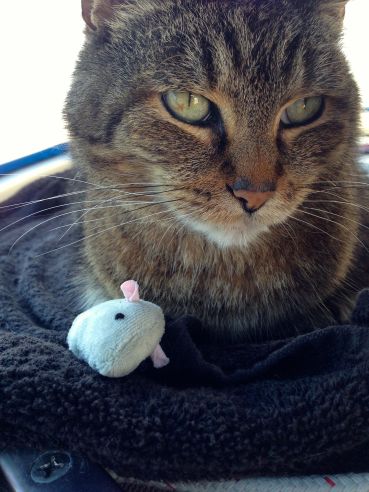 "I love my new mouse, and my new Auntie Natalie."  -Leo