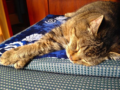 Florida is sarong time!