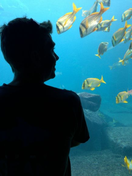 Jake and the fishes.