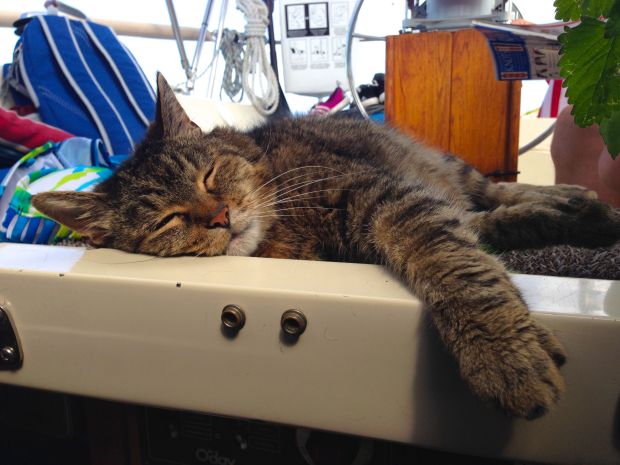 Leo found The Berrys quite comfortable.