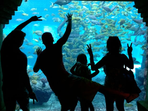 JR, Jay, Dylan, Maura, and Chrissy goofin' around in front of the tanks.