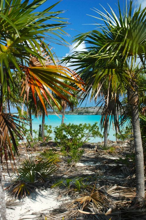 Beryls Trail in Warderick Wells.