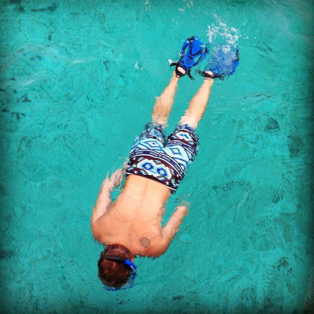 A beautiful fish, checking on our anchor.