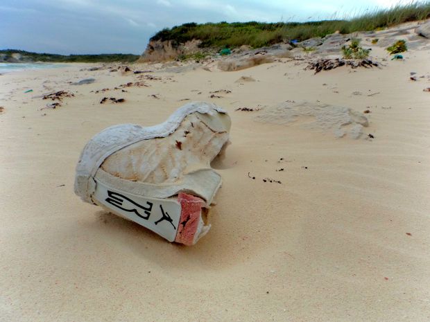 The things you find on the beach of a barrier island!