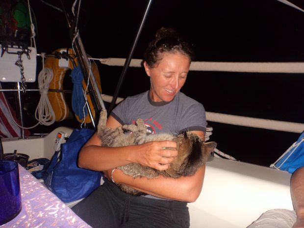 Auntie Kim got to love on Boo! He was a happy kitty!