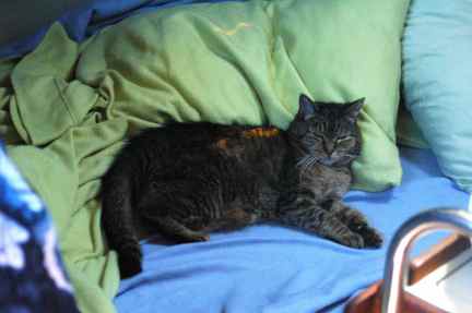 Leo found a good spot for the rolly waves.