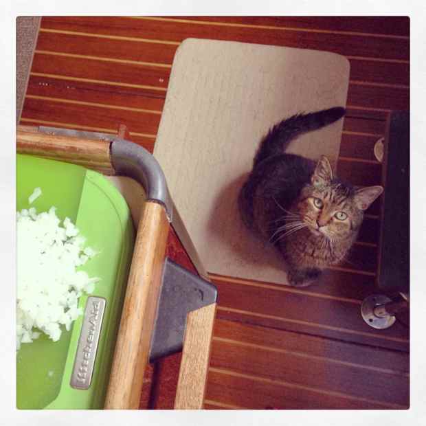 Chopping onions = Tuna, duh.