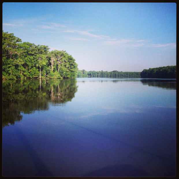A gorgeous day in Georgia.