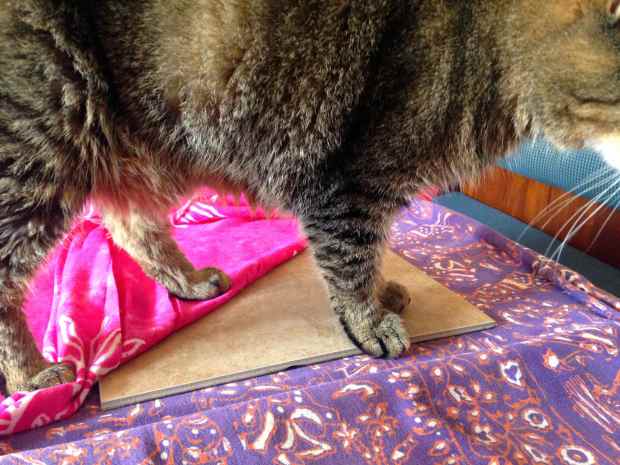 Here's his special tile!  Shhhhh, don't tell him!