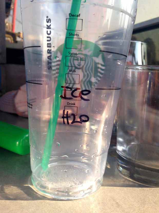 This is what I found when we hung out with Kim and Scott in West Palm Beach, FL. Only Kimmy would roll up to a Starbucks and order ice water. That’s why they’ve been cruisin’ for 9 years, I guess!