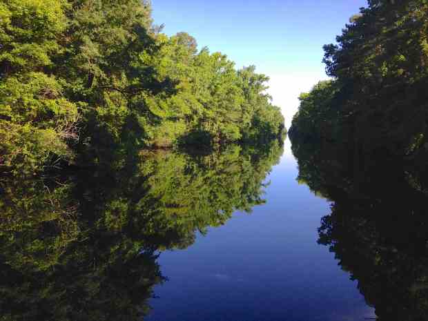 The beautifully calm Dismal Swamp Canal.