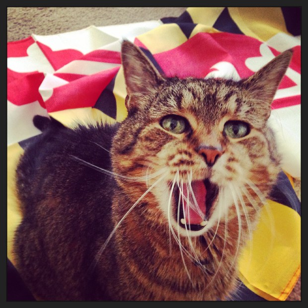 Leo says, "Land-life sucks!  Maryland pride forevaaa!"