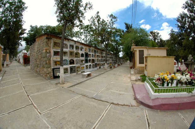 Tarija - The very beautiful cemetery in Tarija.  This is truly one of my favorite places in the whole world.