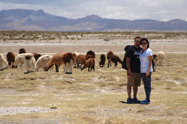Flavia and Marco with the llamas <3